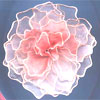 embroidery designs