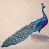 embroidery designs
