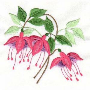 Fuchsia Embroidery Designs