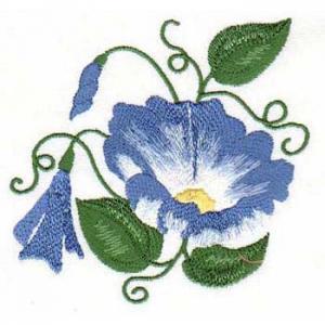 Morning Glory Embroidery Designs